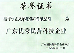 Guangdong outstanding private scientific and technological enterprises”